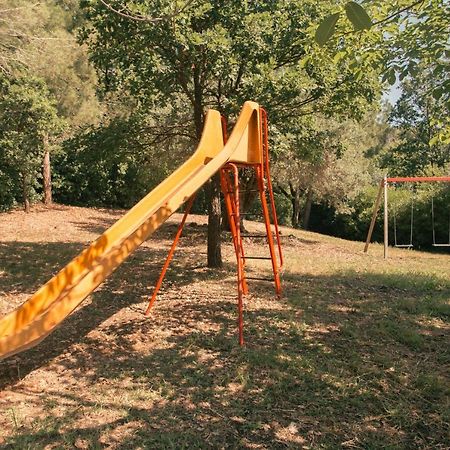 I Cedri Agriturismo Biologico Orsomarso エクステリア 写真