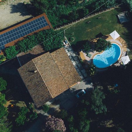 I Cedri Agriturismo Biologico Orsomarso エクステリア 写真